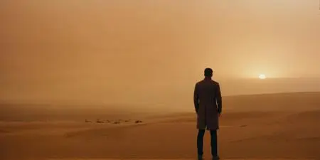 Realistic,Style & Filter,Girl,LoRA,SDXL