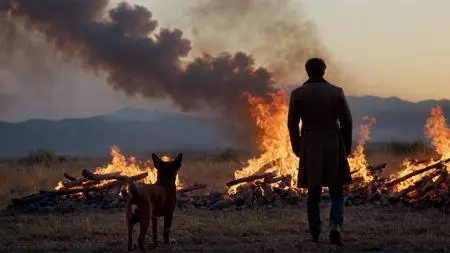 Realistic,Style & Filter,Girl,LoRA,SDXL