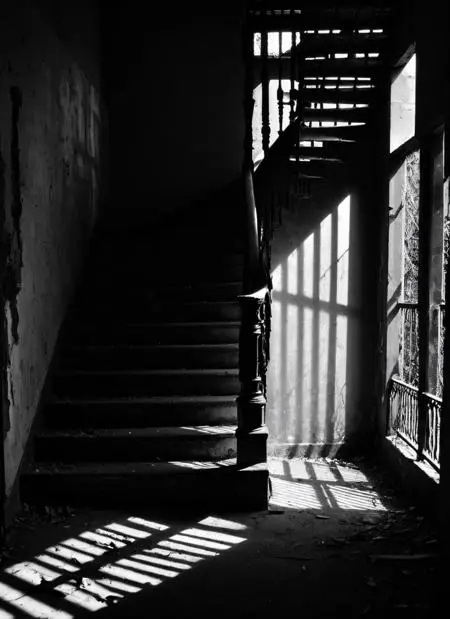 Realistic,CGI style,Anime Style,Checkpoint,SDXL