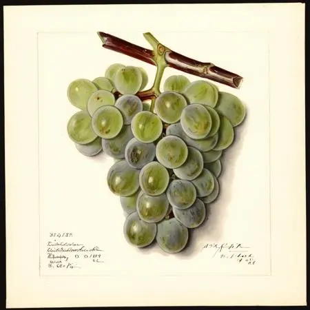 Classic Painting,Traditional Painting Media,Style Boost,LoRA,SDXL