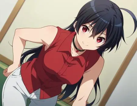 Anime,Anime Style,Girl,LoRA,Pony