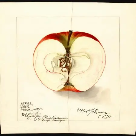 Classic Painting,Traditional Painting Media,Style Boost,LoRA,SDXL