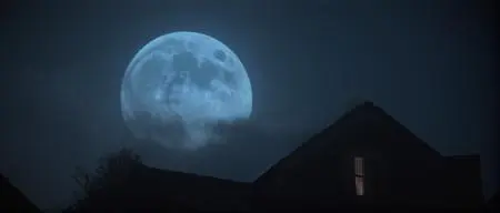 CGI style,Style & Filter,Girl,LoRA,SDXL