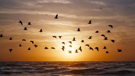 Realistic,Style & Filter,Girl,LoRA,SDXL