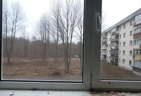 Portrait Photography,Girl,Physical/Facial feature,LoRA,FLUX.1