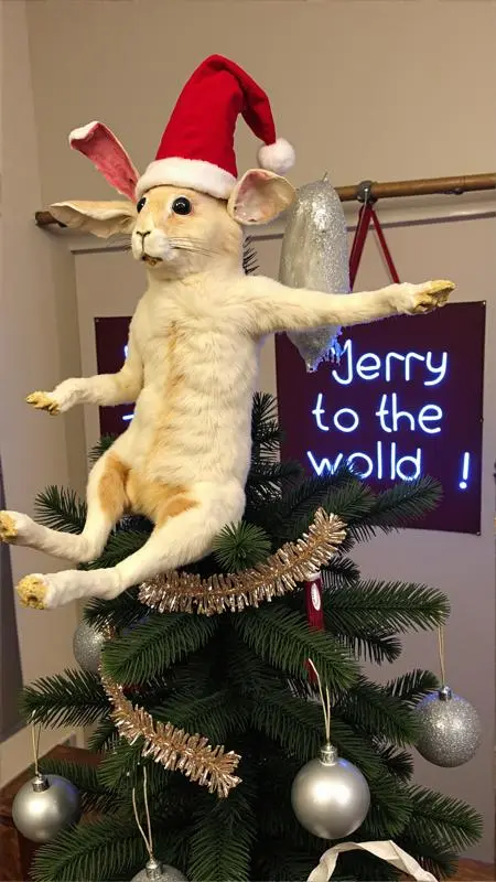 Animal Photography,Composition Control,Animal,LoRA,FLUX.1