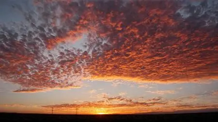 Realistic,Style & Filter,Girl,LoRA,SDXL