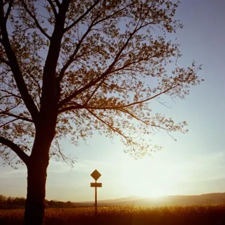 Realistic,Style & Filter,Boy,LoRA,SDXL