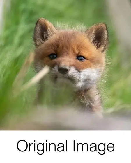 Object Enhance,Other,FLUX.1