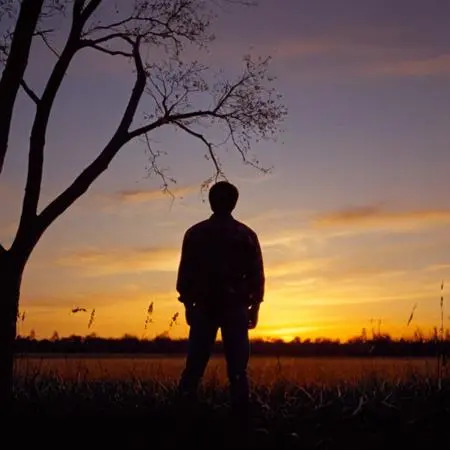 Realistic,Style & Filter,Boy,LoRA,SDXL