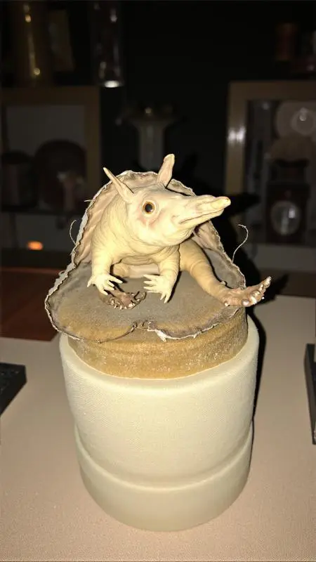 Animal Photography,Composition Control,Animal,LoRA,FLUX.1