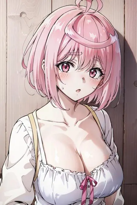 Anime,Anime Character,Girl,LoRA,SD 1.5