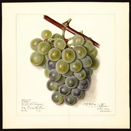 Classic Painting,Traditional Painting Media,Style Boost,LoRA,SDXL