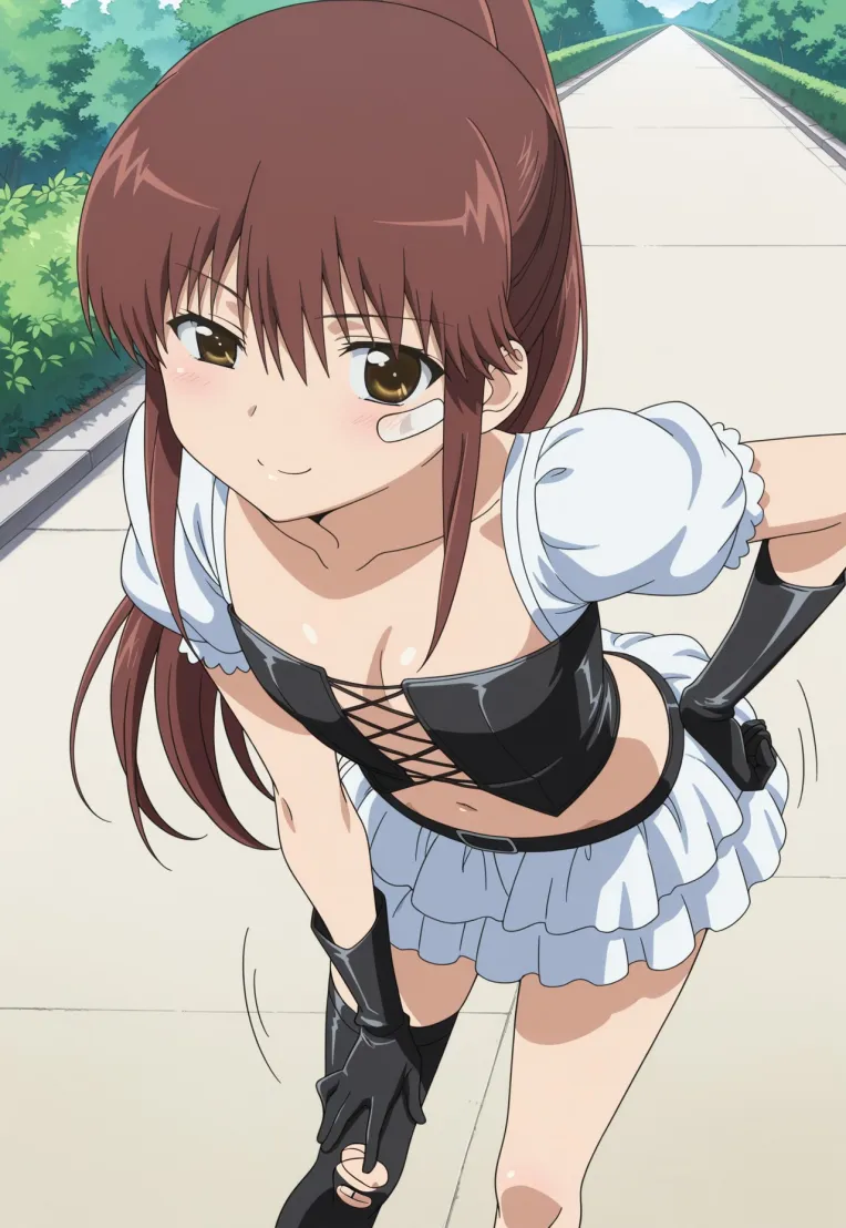 Anime Style,Girl,Physical/Facial feature,LoRA,Illustrious