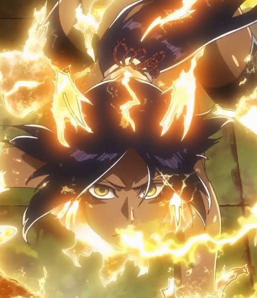 Yoruichi Shihouin (Bleach: Sennen Kessen-Hen) - Shunko raiju senkei Anima