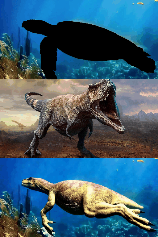 Animal Photography,Animal,Workflow,