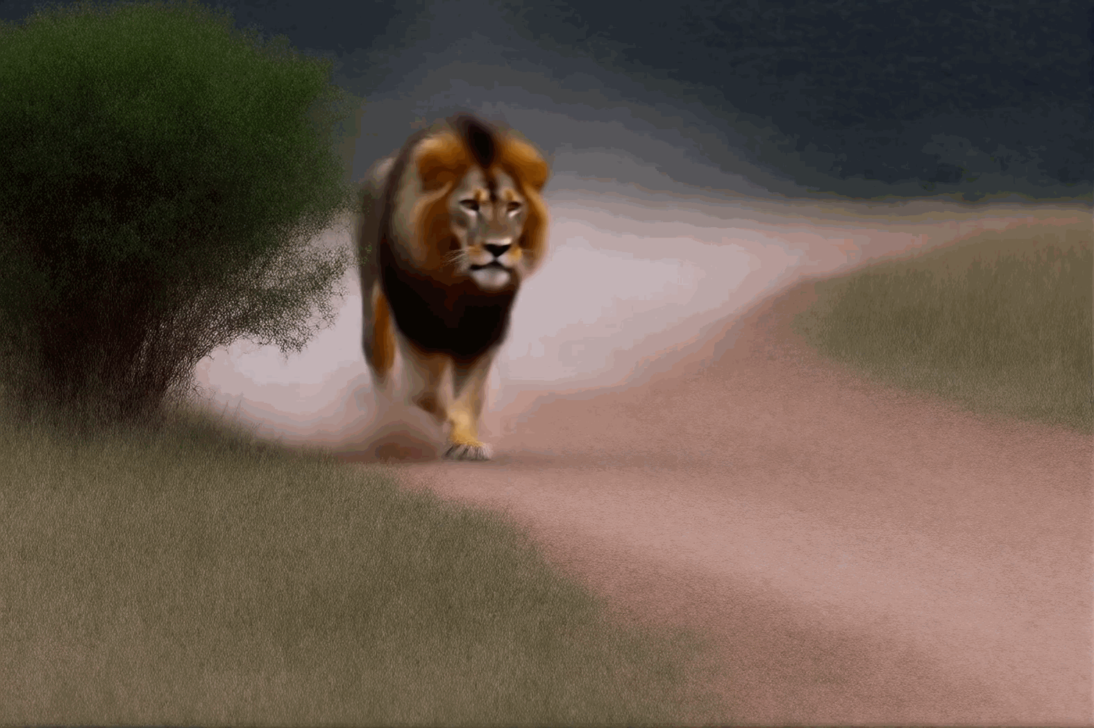 Animal Photography,Object Enhance,Animal,Workflow,