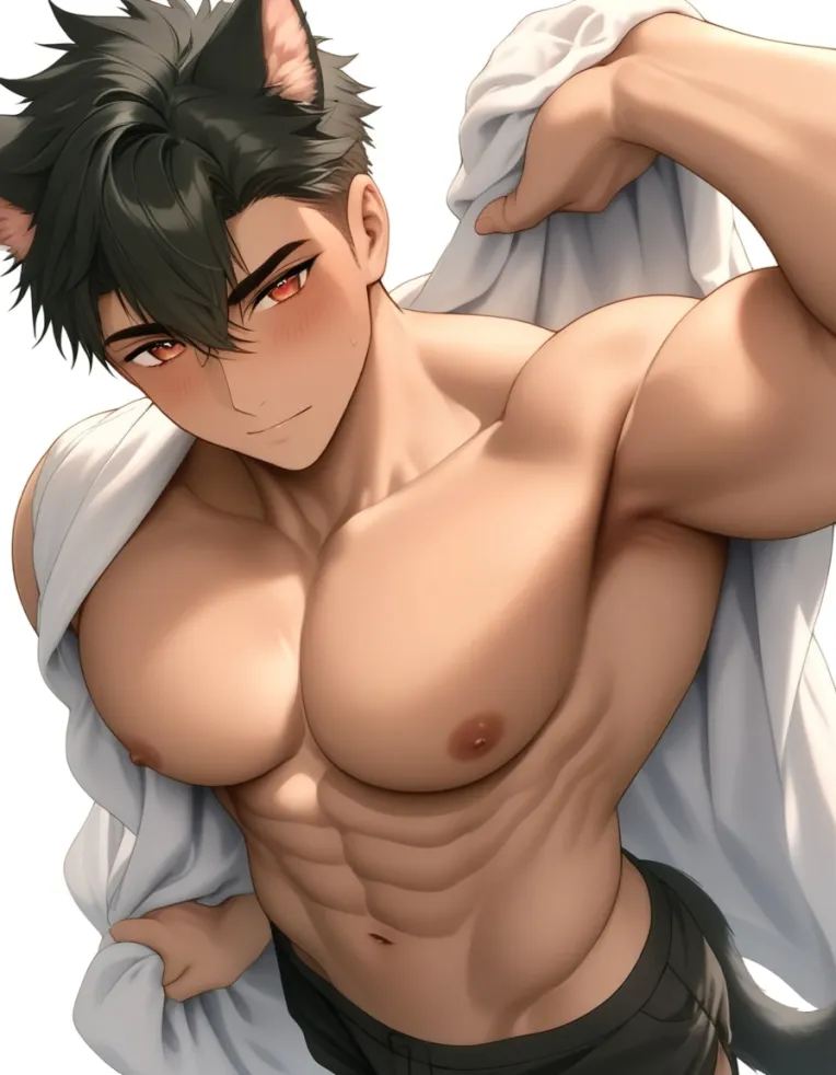 Anime Style,Boy,Style Boost,LoRA,Illustrious