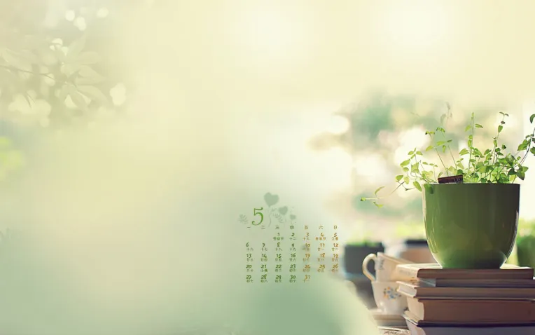 Craft,Nature Photography,LoRA,Illustrious