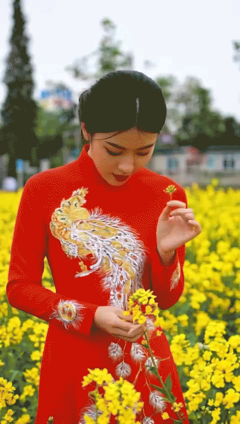 Portrait Photography,Girl,Character,LoRA,HunyuanDiT v1.2