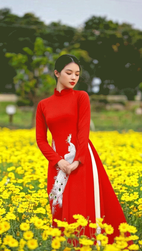 Portrait Photography,Girl,Character,LoRA,HunyuanDiT v1.2