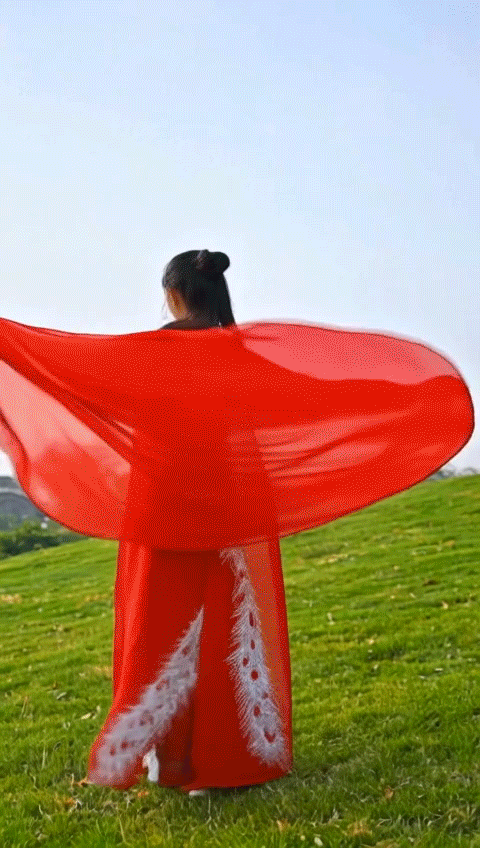 Portrait Photography,Girl,Character,LoRA,HunyuanDiT v1.2