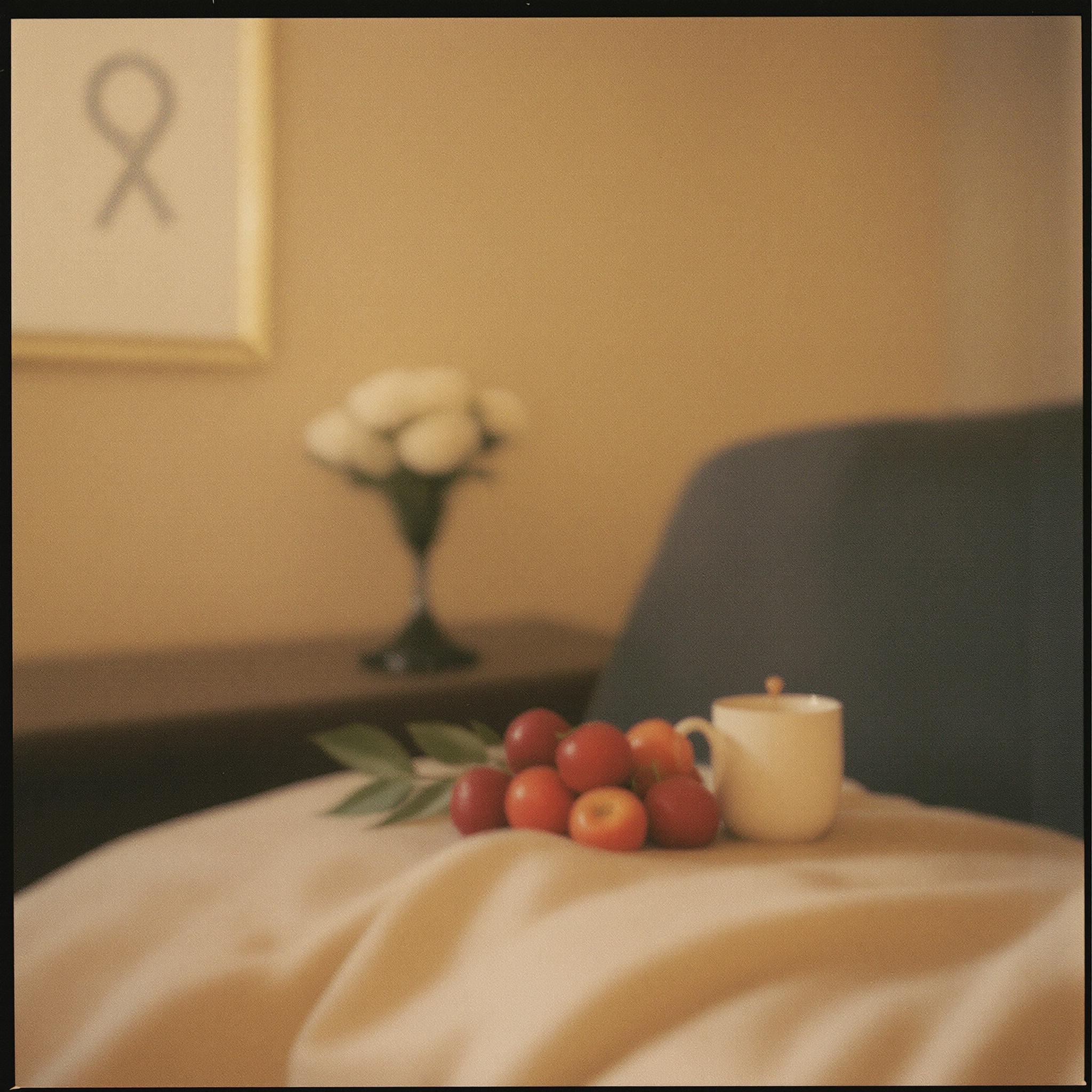 Flux Lora film. Kodak film, film color, film grain, light lake Agfa Optima
