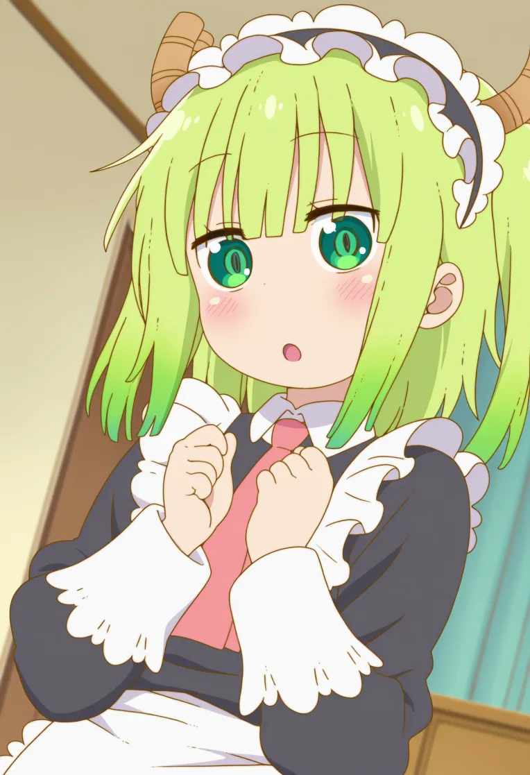 Anime Style,Girl,Style Boost,Checkpoint,Illustrious